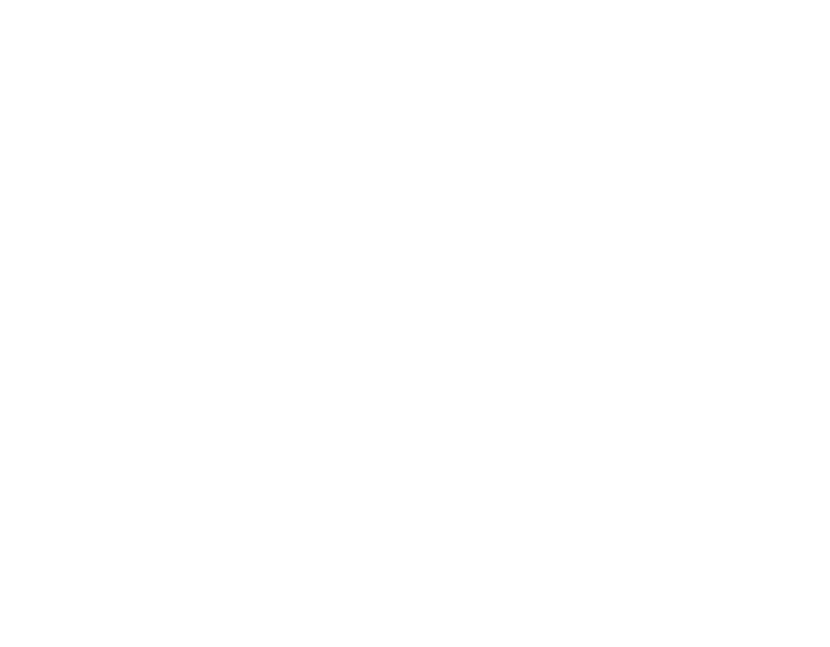 THE JALEO